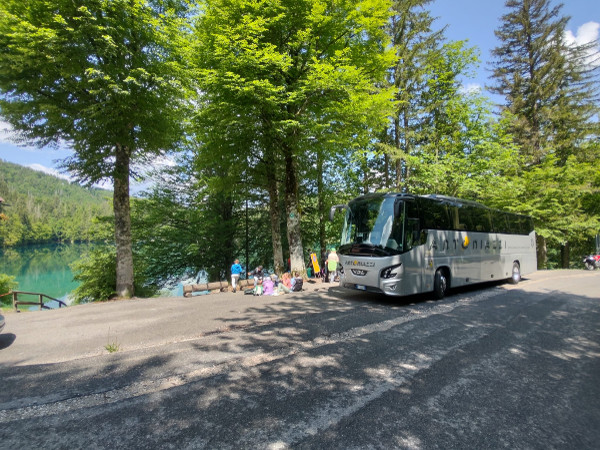 Autobus a noleggio per gite scolastiche e viaggi di istruzione